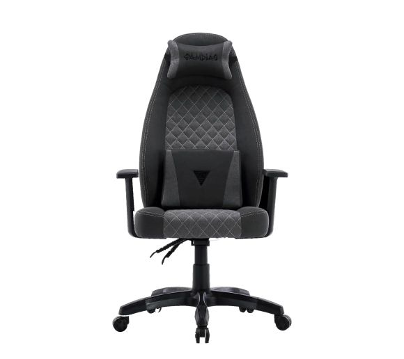Gamdias - Gaming stolica Zelus E4 Weave sivo-crna_1