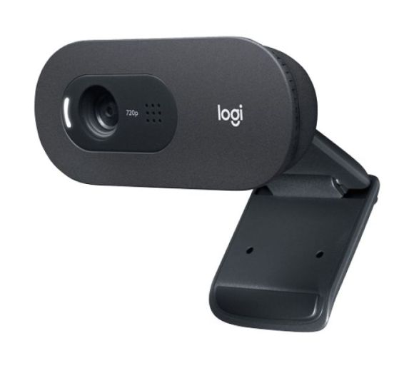 Logitech - Web camera Logitech C505e 960-001372_0
