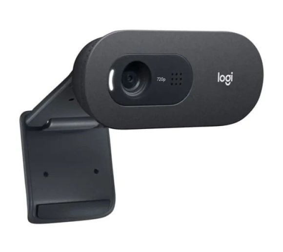 Logitech - Web camera Logitech C505e 960-001372_2
