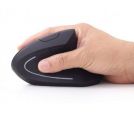 Gembird - MUSW-ERGO-01 Gembird Bezicni Ergonomic 6-button optical mouse, black 95mm_small_2