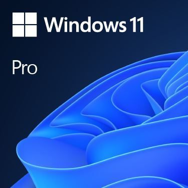 Microsoft - MS OEM Windows 11 Pro Eng 64-bit, FQC-10528_0