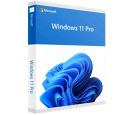 Microsoft - Win 11 Pro 64Bit Eng Intl 1pk DSP OEI DVD_small_0
