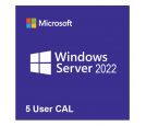 Microsoft - Windows Server CAL 2022 English 1pk DSP OEI 5 Clt User CAL_small_0