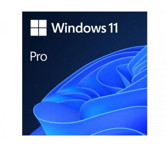 Microsoft - Win 11 Pro GGK 64Bit Eng Intl 1pk DSP ORT OEI DVD_0
