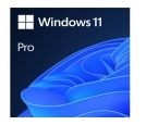 Microsoft - MS GGK Win Pro 11 64bit Eng Intl 1pk DVD, 4YR-00316_small_0