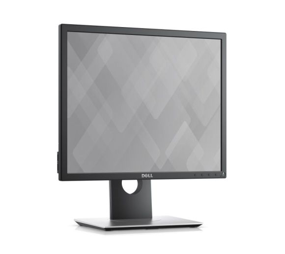 DELL - 19 inch P1917S Professional IPS 5:4 monitor _1