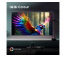 HISENSE - 65 inča 65A85Q OLED 4K UHD Smart TV _small_0