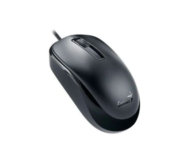 Genius - Miš Genius DX-125 USB-C Black_1
