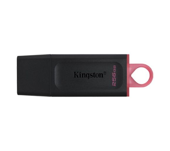 Kingston - USB Flash Kingston 256GB DataTraveler Exodia USB 3.2, DTX/256GB_0