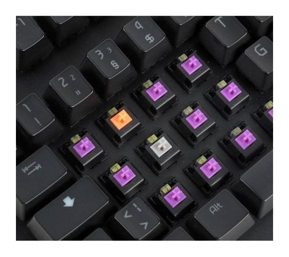 Tastatura USB EPICGEAR DeFiant Spanish siva_1