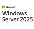 Microsoft - Windows Server Standard 2025 OEM (EP2-25187) _small_0