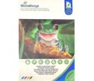 MediaRange -  germany foto papir A4 double side hi-glossy 160 g/m² 50 listova MRINK108_small_0