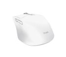 Trust - Miš TRUST NIVEN COMFORT MULTI-WRLS MOUSE/bela_small_1