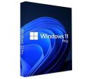 Microsoft - Microsoft GGK Win Pro 11 64bit Eng Intl 1pk DVD, 4YR-00316_small_0