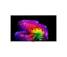 LG - Televizor LG OLED55G61LW/OLED/55"/4K Ultra HD/smart/webOS 26/crna_small_3