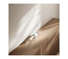 Xiaomi - Usisivac XIAOMI P30 štapni/bela_small_3